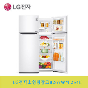 LG전자/ 엘지전자 소형냉장고 B267WM 254L 2도여냉장고